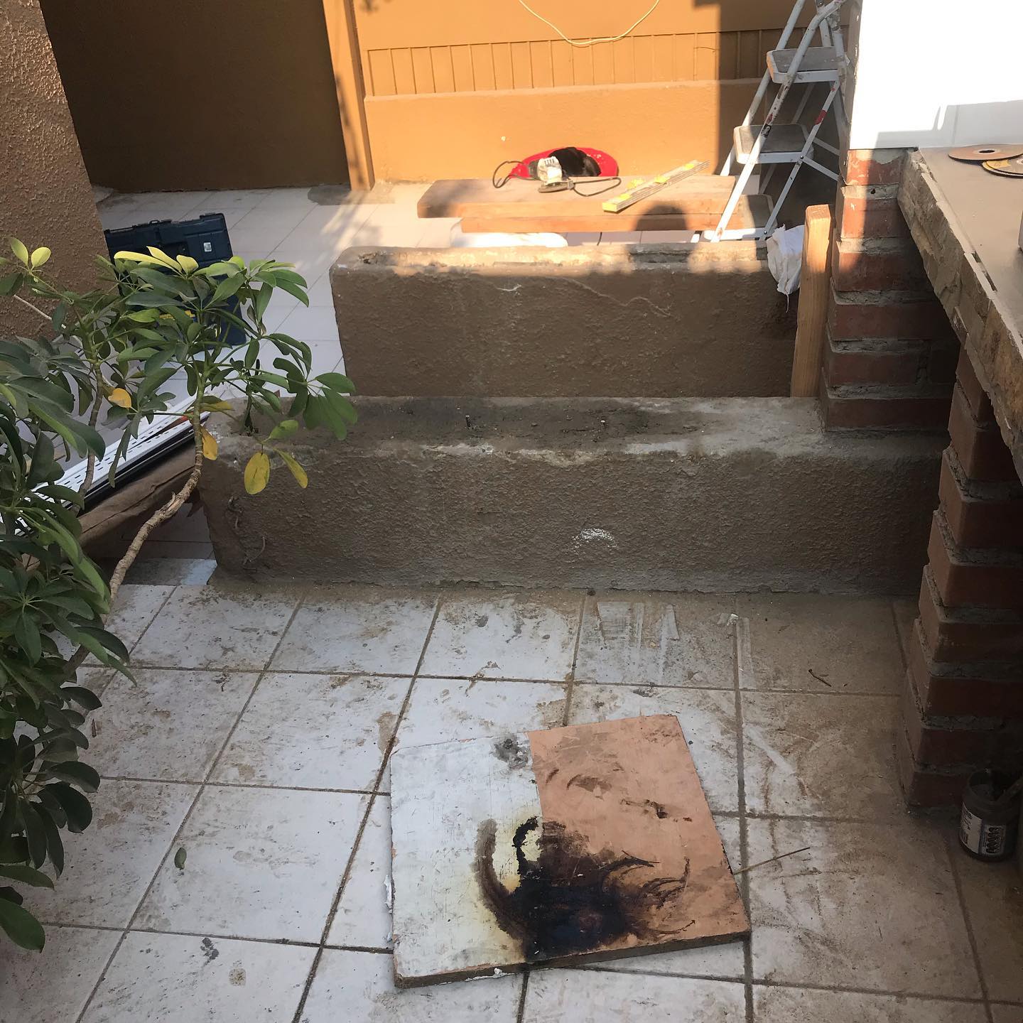 edificaciones.olivares_2329496042226040107_2020-06-11