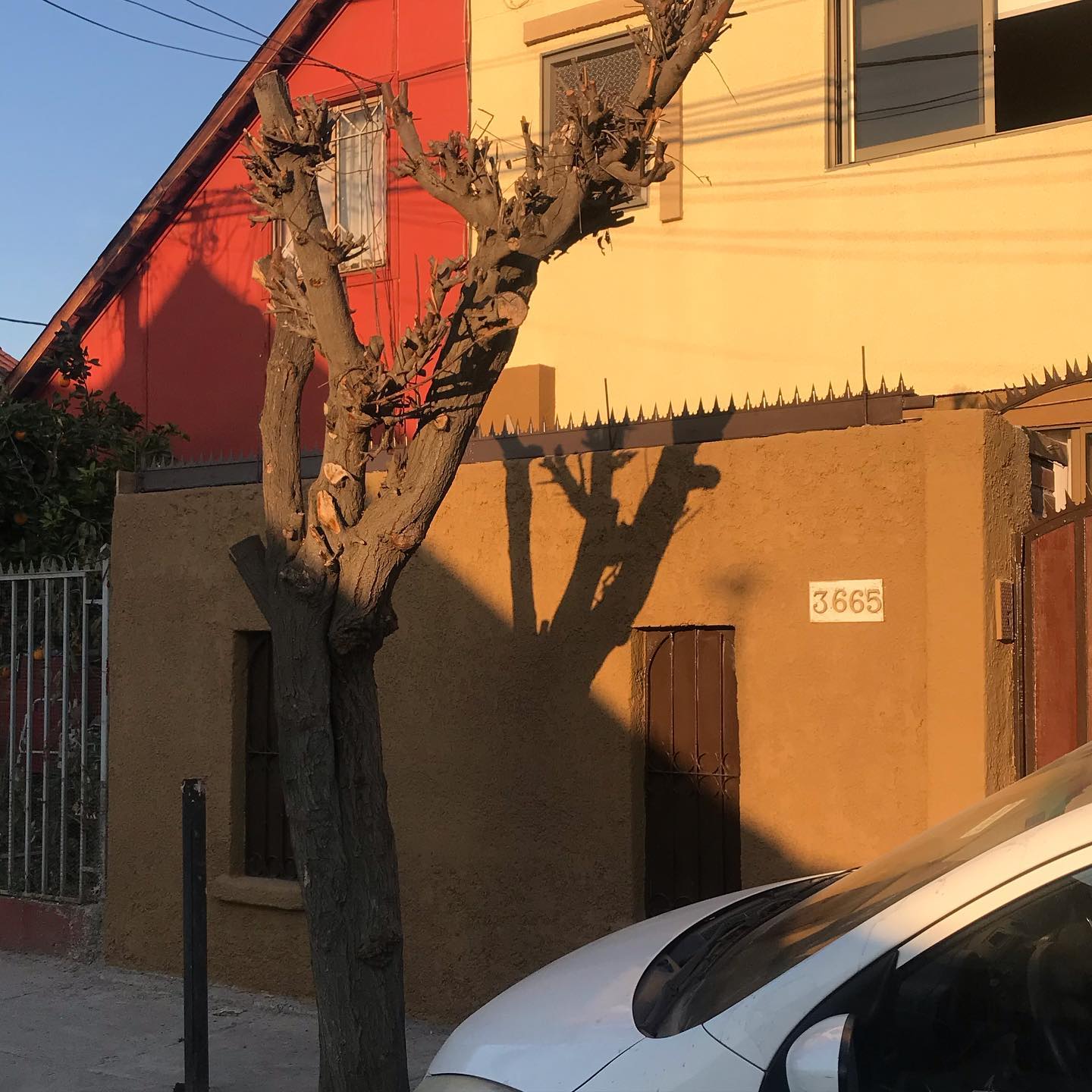 edificaciones.olivares_2329496042267860315_2020-06-11