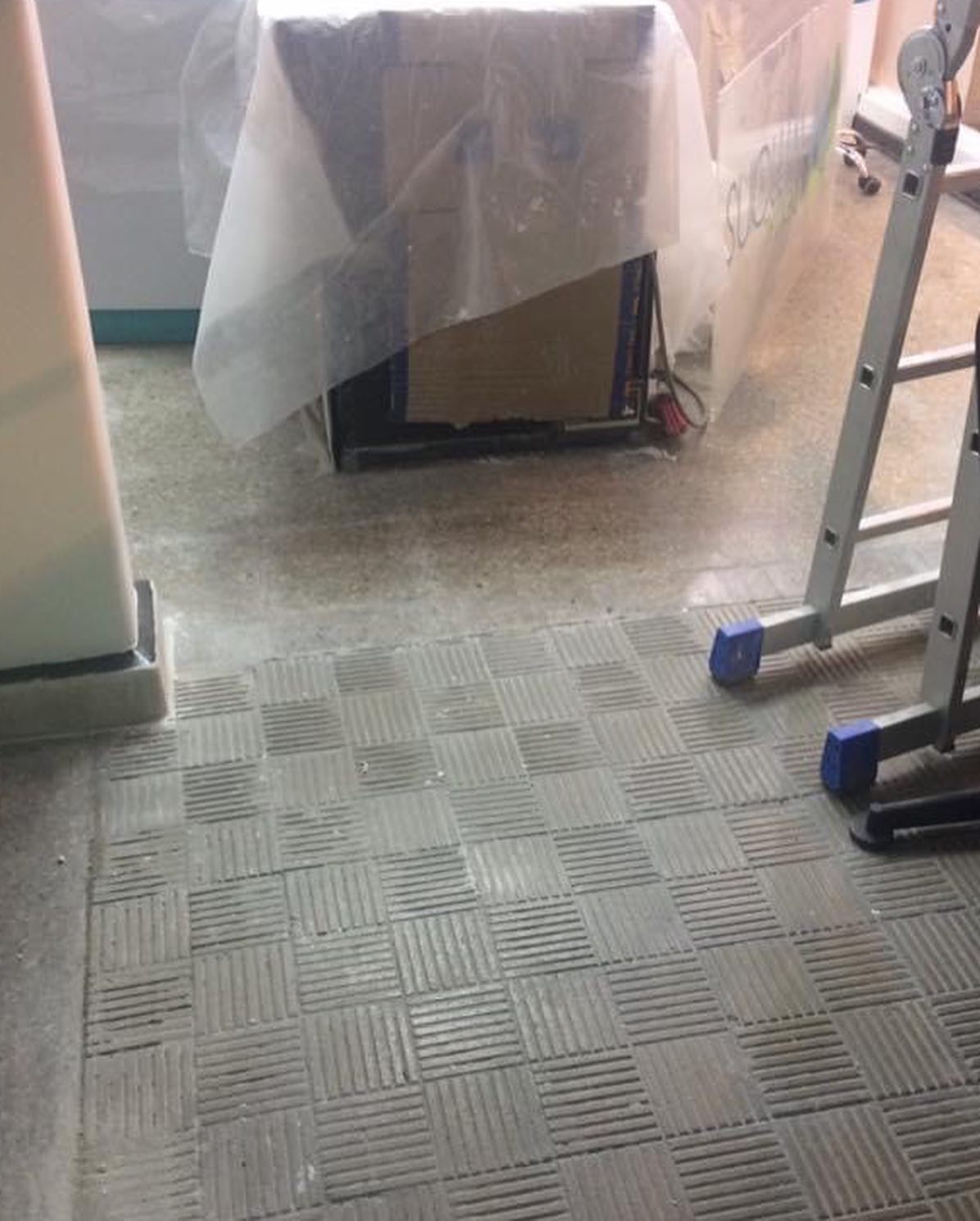 edificaciones.olivares_2512449461338164545_2021-02-19