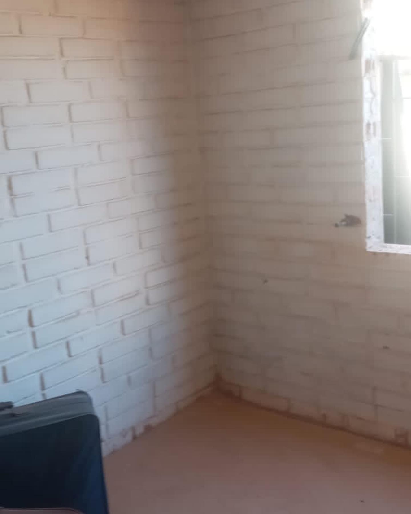 edificaciones.olivares_2968455042084724543_2022-11-10