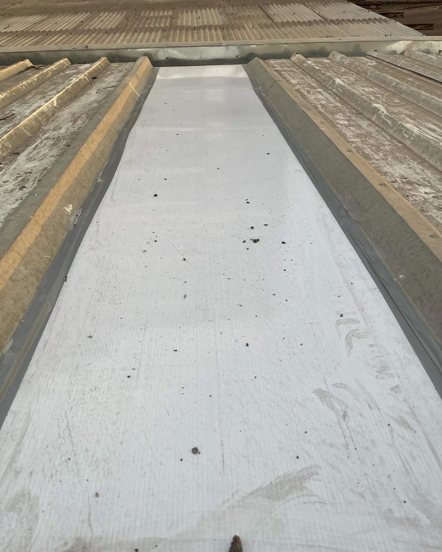 edificaciones.olivares_3347580260012884211_2024-04-16